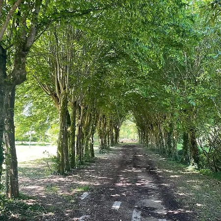 بيت للعطل Maison Dans Un Parc Arbore Montbron