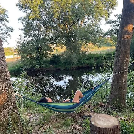 Maison Dans Un Parc Arbore *