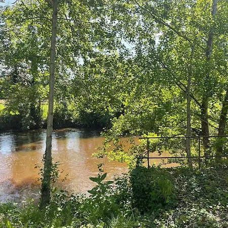 Maison Dans Un Parc Arbore