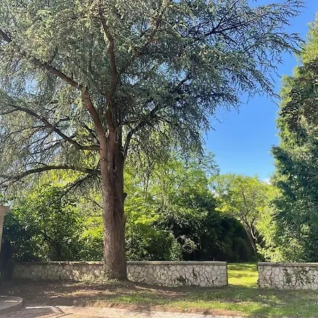 Maison Dans Un Parc Arbore *