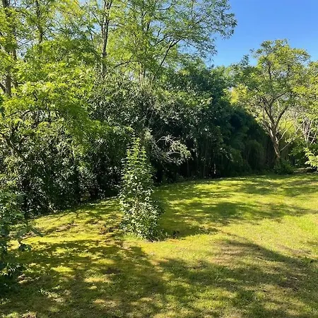 Nyaraló Maison Dans Un Parc Arbore